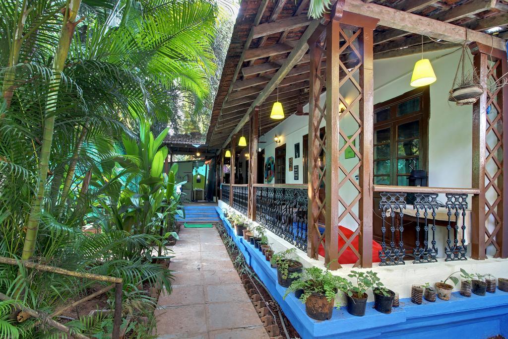 Zostel Goa Hostel Калангуте Екстериор снимка